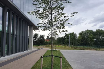 Bigger view of Aanleg parking in grindgazon met TerraCottem Turf