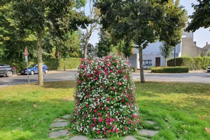 Bigger view of Kontejnery