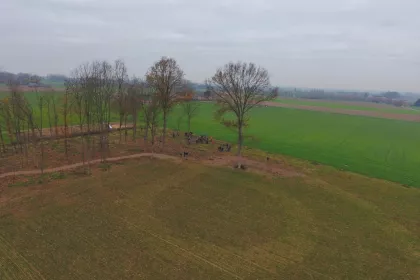 Bigger view of TerraCottem bvba steunt het bi-ventiel bos