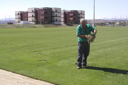 Bigger view of Root development with TerraCottem turf at Ciudad del fútbol de Las Rozas, Madrid, Spanish Football Federation, Spain.