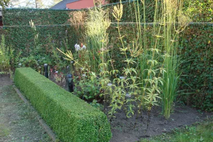 Bigger view of Project in de kijker: De tuinen van Gilles Dehem.