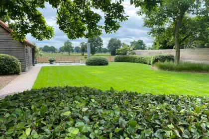 Bigger view of Lawns