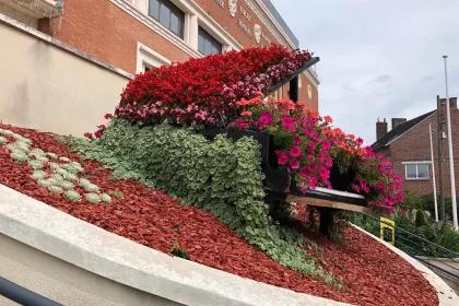Bigger view of TerraCottem Universal in flower beds, in France ville de Fourmies