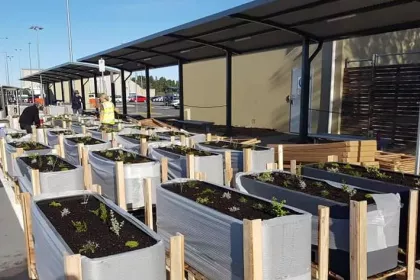 Bigger view of Hobart Airport where beautiful planter boxes welcome travellers at Hobart Airport.