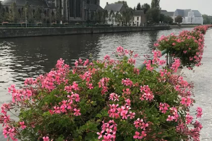 Bigger view of Oudenaarde, de gemeente met lovenswaardige bloemeninitiatieven