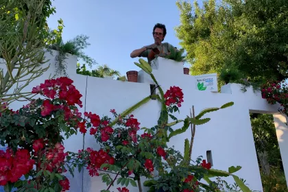 Bigger view of Flower Beds