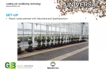 Bigger view of Optimising water retention capacity of growing media  used in vertical gardening (2/2)