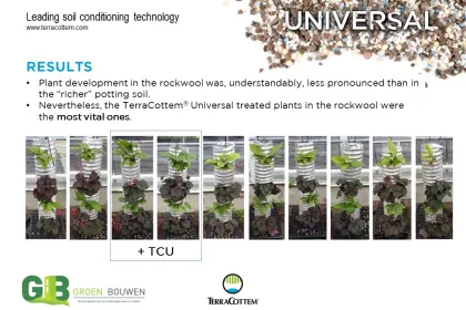 Bigger view of Optimising water retention capacity of growing media  used in vertical gardening (2/2)