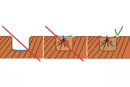 Bigger view of Do not put TerraCottem Universal at the bottom of the plant hole or on top of the planted tree. Do mix TerraCottem Universal homogeneously with the soil prior to planting and plant with this soil mixture.