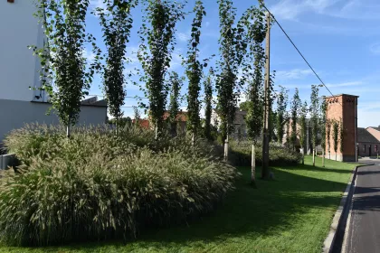 Bigger view of In de kijker: Tuinarchitectuur Vranckx