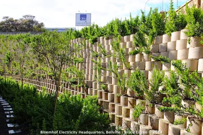 Bigger view of Picture courtesy of New World Associates, Landscape Architects.
