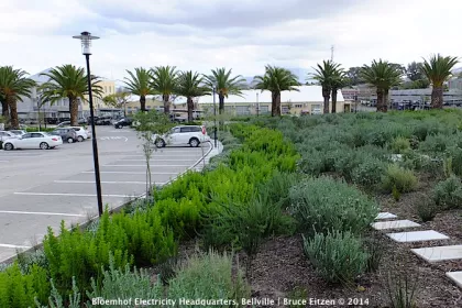 Bigger view of Picture courtesy of New World Associates, Landscape Architects.