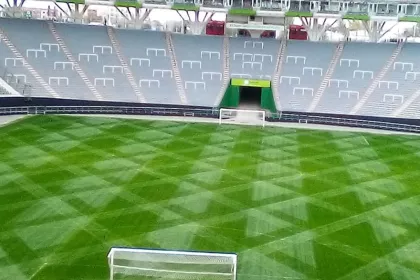 Bigger view of The strength of a pitch lies in its roots