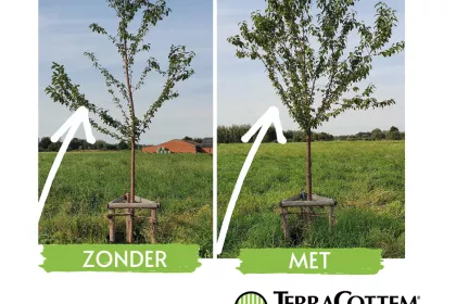 Bigger view of Is je tuin bestand tegen langdurige droogte en onregelmatige regenval?