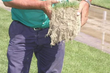 Bigger view of TerraCottem Turf
