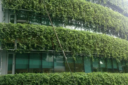 Bigger view of Groene wanden voor duurzame gebouwen en steden