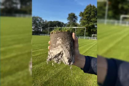Bigger view of Wortelgroei met bodemverbeteraar TerraCottem turf