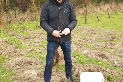 Bigger view of Boomaanplanting voor de Warmste Week