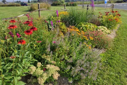 Bigger view of Flower Beds