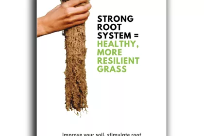 Bigger view of Insert 'Roots'