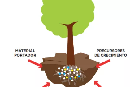 Bigger view of El secreto mejor guardado