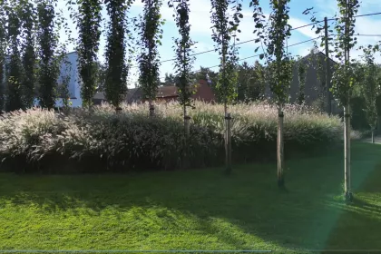 Bigger view of In de kijker: Tuinarchitectuur Vranckx