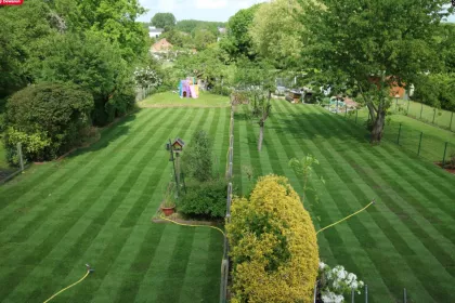 Bigger view of Project in de kijker - Tuinman Nick De Laet