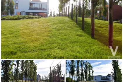 Bigger view of Photos2