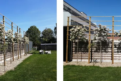 Bigger view of Photos