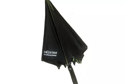 Bigger view of Umbrella (green)