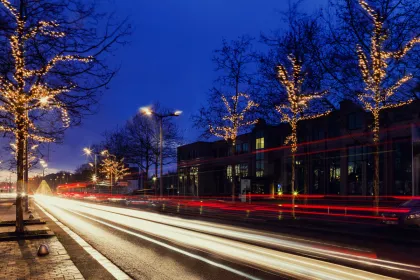 Bigger view of Plane Trees Sparkle