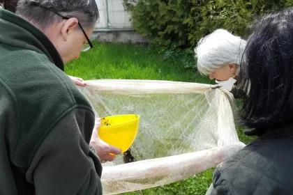 Bigger view of Control and visual inspection of the amount of TerraCottem Universal hydroabsorbants in a sample.