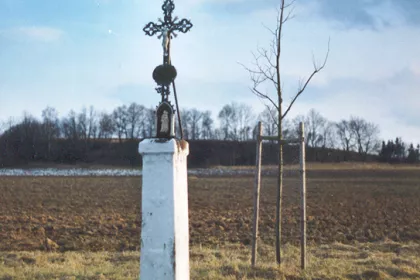 Bigger view of Obnova krajiny – stromořadí podél polní cesty