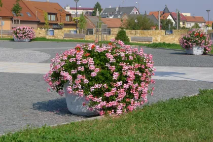 Bigger view of Bloembakken