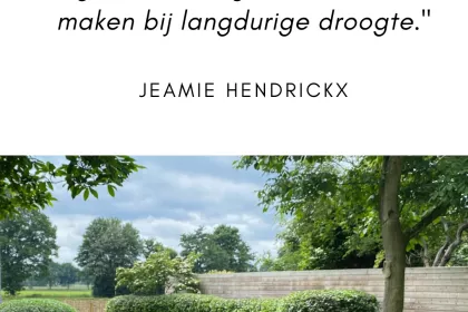 Bigger view of Project in de kijker: Jeamie Hendrickx wil in elke in elke tuin een oase van groen creëren.