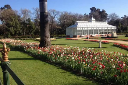 Bigger view of This is what Bendigo’s intensive horticulture is all about, glorious displays wrapped around Victorian architecture.