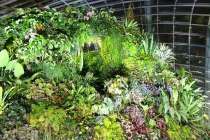 Bigger view of Greening Singapore Even More