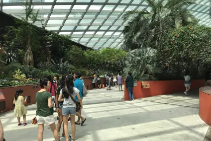 Bigger view of Greening Singapore Even More