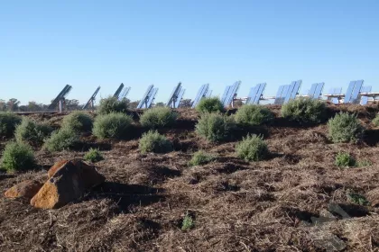 Bigger view of Creating a functional yet beautiful landscape around this solar energy testing facility (above) near Bridgewater was not only appropriate stewardship of the land, ...