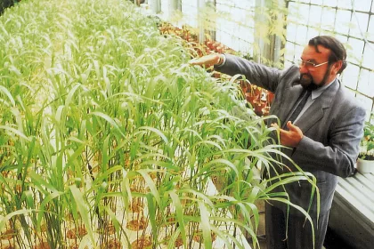 Bigger view of In 2018 we are celebrating 25 years of TerraCottem soil conditioning technology.