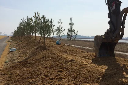 Bigger view of Transplanted Trees Flourish