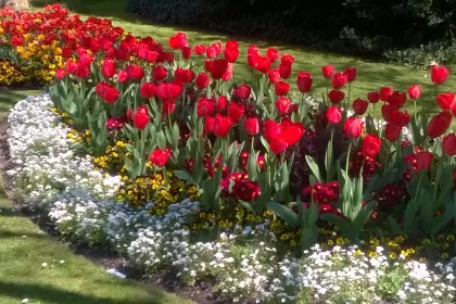 Bigger view of Britain in Bloom - Another Award for Fareham!