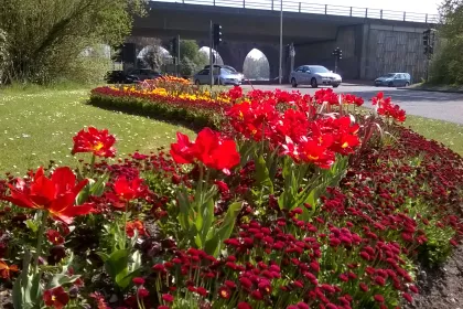 Bigger view of Britain in Bloom - Another Award for Fareham!