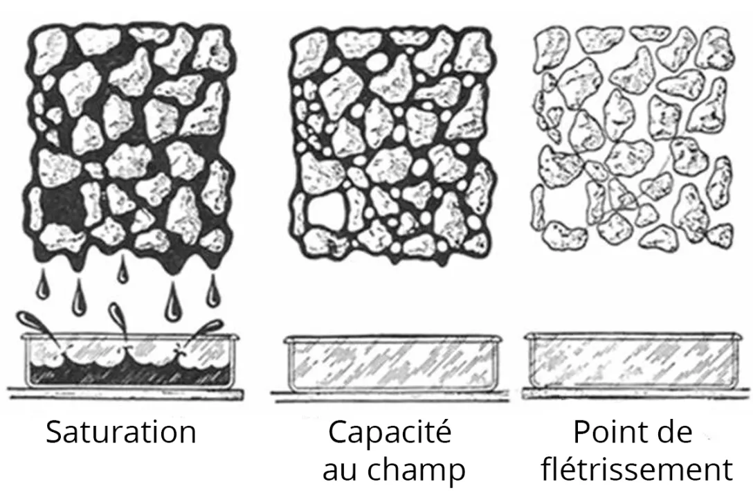 Plus la capacité de rétention en eau d'un amendement du sol  est élevée, plus la plante disposera de cette eau ?