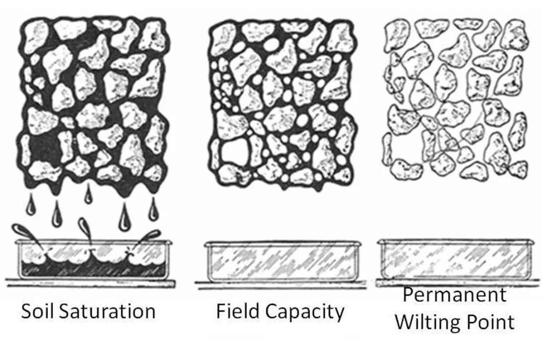 The higher a soil amendment’s water retention capacity, the more plant available water?