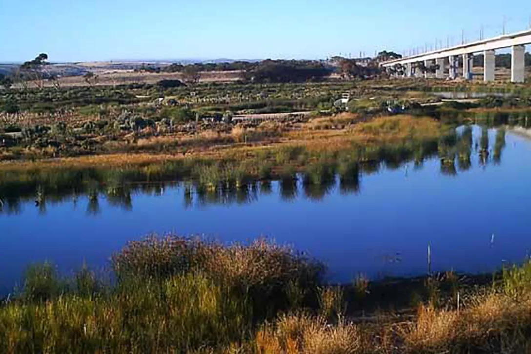 Sewerage ponds into wildlife lakes
