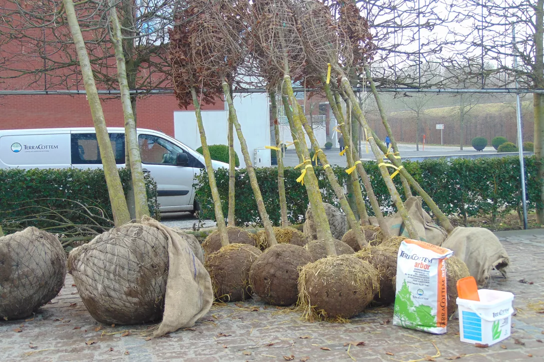 TerraCottem Arbor - 10kg