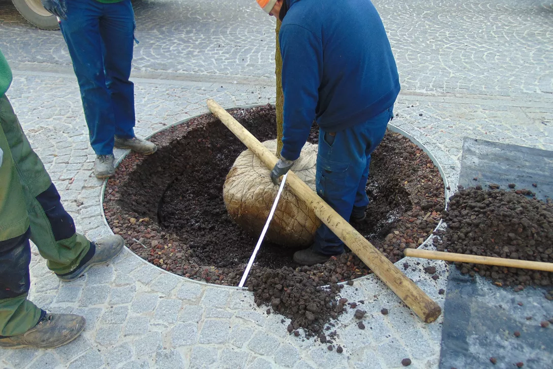 TerraCottem Arbor - 10kg