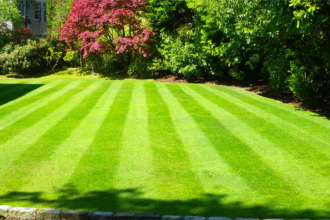 TerraCottem Turf - 10kg